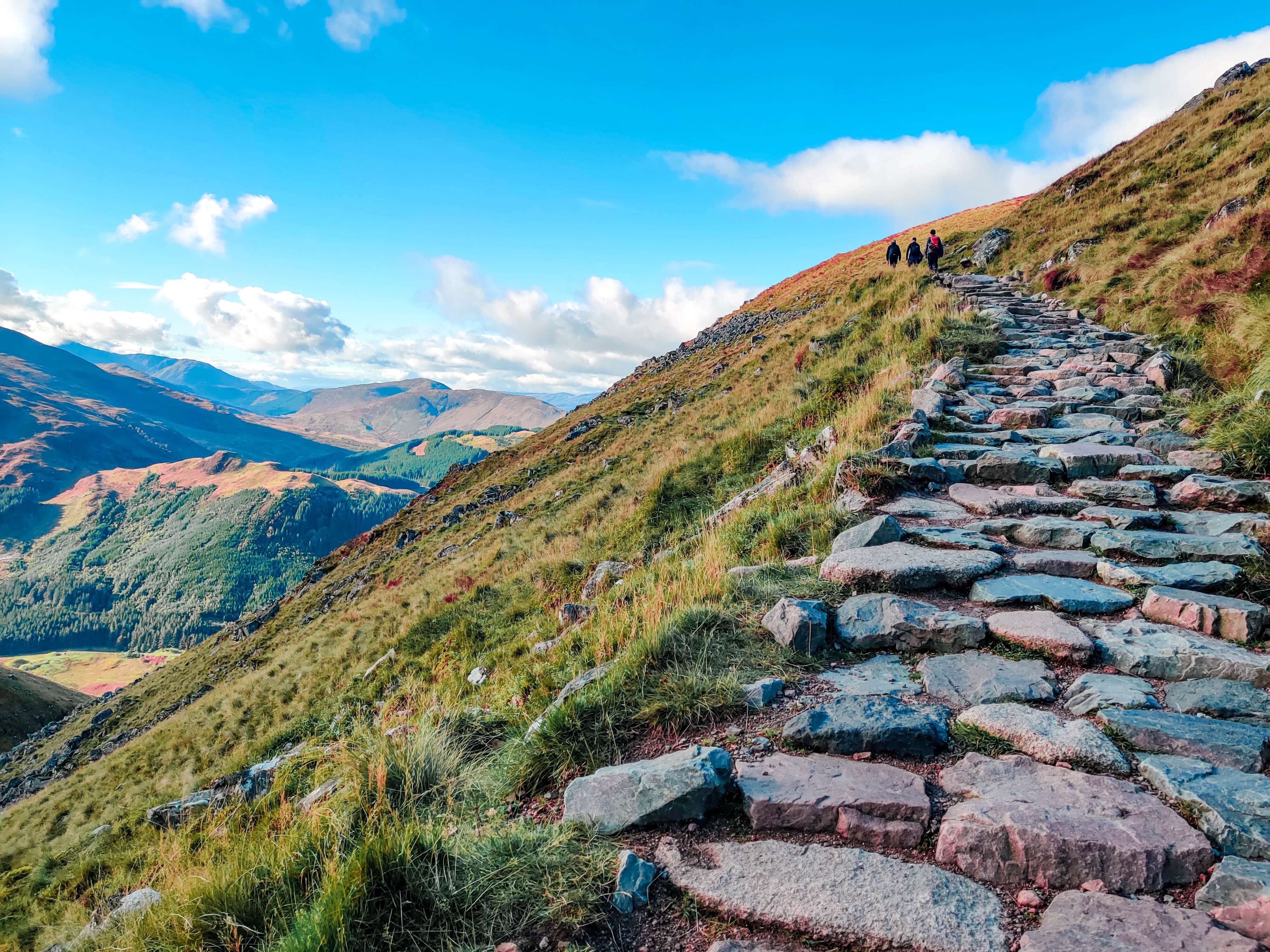 Path leading up a hillside